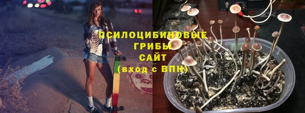 не бодяженный Арсеньев