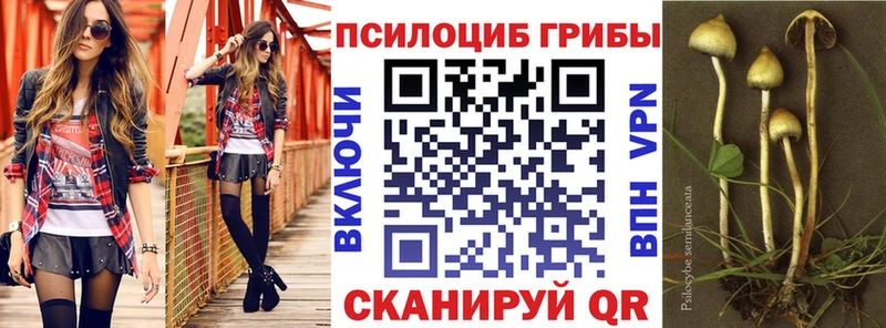 Псилоцибиновые грибы Psilocybine cubensis  закладки  darknet официальный сайт  Морозовск 